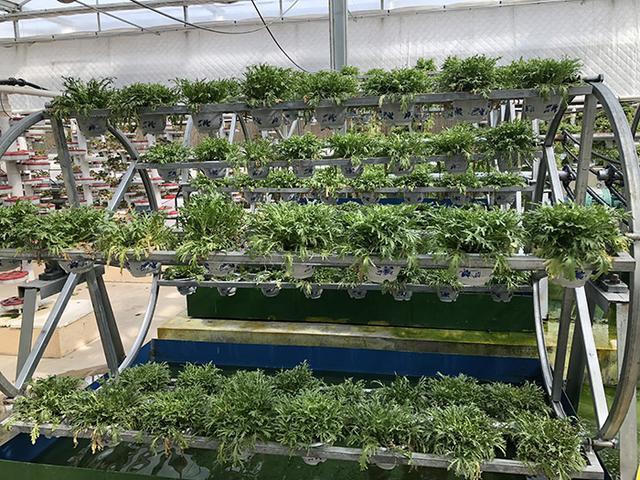 世界杯投注平台